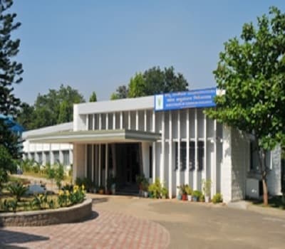 Directorate of Sorghum Research Hyderabad Campus photo 3